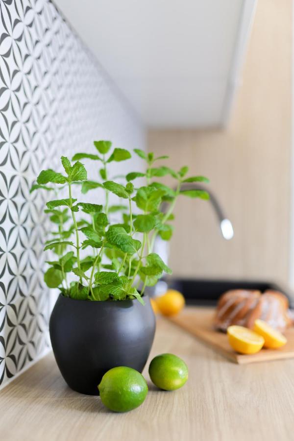 Apartamenty Meiera Krakow Ngoại thất bức ảnh